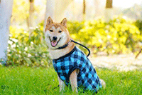 �Ա��������ȷ�����Լ��ı�ǩ�Ƿ�����