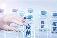 �����ı������������ת������