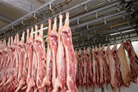 ���챬��������һЩ����