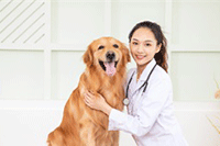 �Ա������������Ӫ,��Ʒ���Ĵ��ƾ�˼·