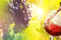 ��Ƚ���Ӱ���Ա�Ȩ�ص�����