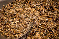 �����������Ż�ȯӪ������ת���Ĳ���