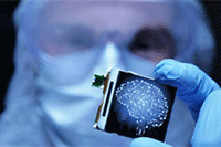 ����ȫְ�������أ��Ҳ����������רְ������