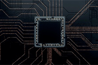 ��è��Ӫ��ô��:�����������è����5��ʵ����������10��