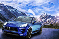 ȷ����è�ؼ�������������������Ӫ����