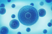 �Ա���Ʒֱͨ����ϸ����Ӫ˼·