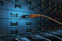 2021����è��������̹���