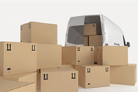 ���������Ա����챬������ٵ�