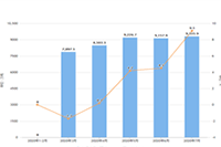 ����ֱ��������MCN����?����ѧϰ�ʼ�