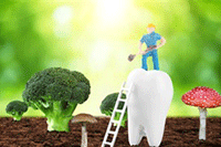 ����С����ֱ������������Щ��Ӫ���ƣ�����Щ��ͨ������