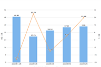 �Ա�������Ȩ��������