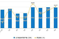  �Ա���������