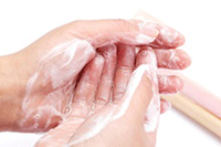 ������Ʋ��������ǵ��Ա���������ҳ������������