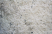 �������������������й¶������Ϣ��