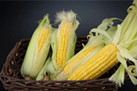 ��ο�������Ҫ�����ʽ�