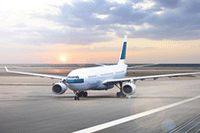 �Ա���װȫ�������ƹ�