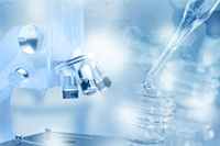 ��è��פ���ܾ�������,��������פ��è�̳ǳɹ���