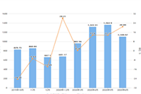 ��è��פ������Ҫʲô����?����Щ���̲���