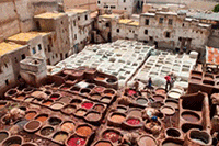 ���������Ա���������Ӫ����