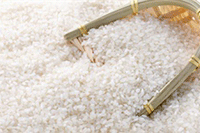 ��è���ʿ�����Ҫʲô����