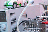 ����Ҳ�����յ��Ա�����������̳�