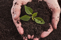 �ٷ���ʮ������������ͼ������������ͼ�ֱ���ص���ʲô