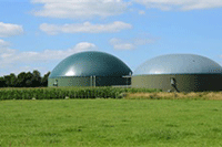 ��è��Ӫ��ѵ�����Ǯ,��èֱ���������,������ʽ����Щ