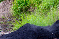 ��è�·����Ż�ȯ��ô��������ʲôԭ��