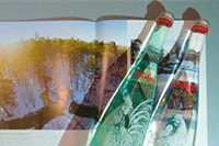 ��è��פ����������ʲô