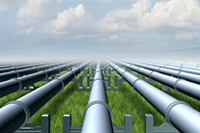 ��è��פ����è���̿���ȫ���̽�˵