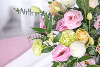 ��������Ӫ֮����Ӫ�����׸���ô����