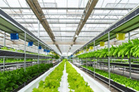 ��è����Ӫ��ʲô��˼,��Ҫ�ƹ㷽ʽ����Щ