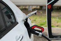 ����è���ʺ���è�콢���ĸ���