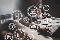 ��è����ɱ�,��è���Ե���������