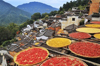 ��è����ɱ�,��Ҫ�չ���è����һ��۸��ڶ��ٺ���