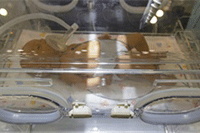 ��è����:��èС�ں�Ϊʲô����,ʲô����èС�ں�