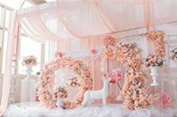 ��è���ʺ������������ô��ȡ,����������ż�ʹ�ù���