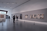 ��ʶ�Ա�����ʱ����