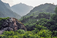 ���֡��������Ա�ֱ�������ļ�ǿ