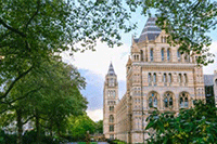 ������ѵ��:��ν���ֱ�����̽�ץ����