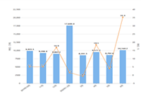 ���ֵ��̶���Ƶ���Ͷ�ż�����ʲô