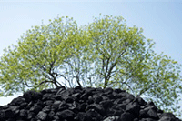 ���ֵ�����ô����,���ֵ���������Ҫע�������