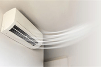 ���ֵ�����Ϣ��������Ͷ��Ч������