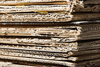 ���ֵ�����ô��ͨ����ô��ͨ���ֵ�ֱ��Ȩ��