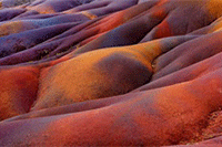 ���ֵ��̵Ķ���Ϊɶ��ô����,�����ò���