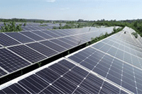 �����Ա�Ⱥ7���淨���ַ�����������������