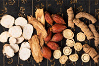 2021����������ѷ��