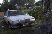 Υ�����Ա��̳Ƿ�Ʊ�� ����,���ܵ��������ִ���?