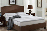 Ůװ/Ůʿ��Ʒ��Ŀ�£�������Ʒ��������ȷ�Ķ�����Ŀ�µ��ǣ�