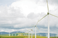 ֱͨ���ؼ��ʳ����������Ż�Ͷ���ƹ�